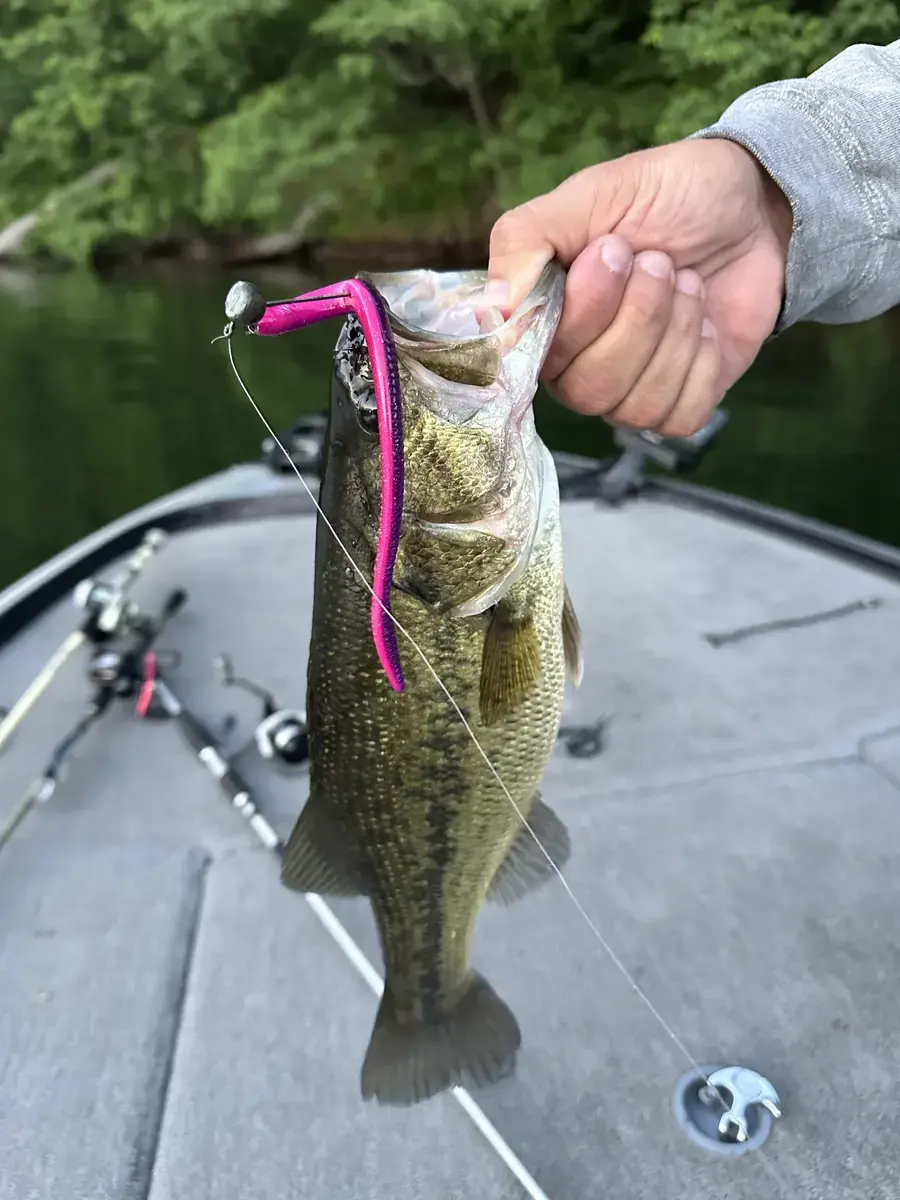 River Raider Outdoors bait and catch